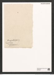 Fragilaria tenuicollis Heib. (de-Toni-Nr.: Genus 73, Species 2719) Zeichnungen Sammlung Grunow (NHMW-BOT-W0374039)